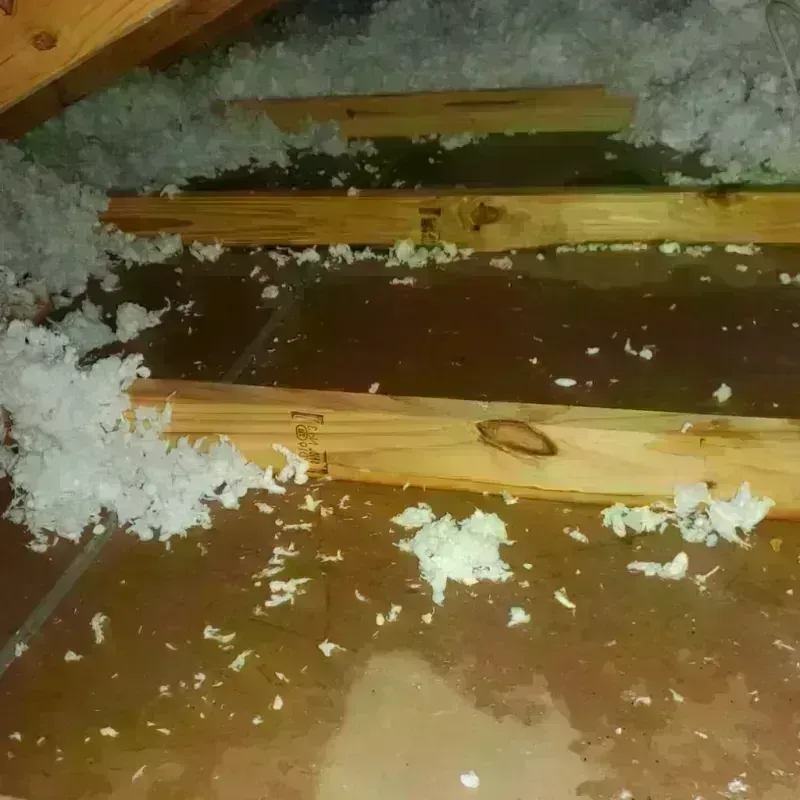 Attic Water Damage in Lihue, HI